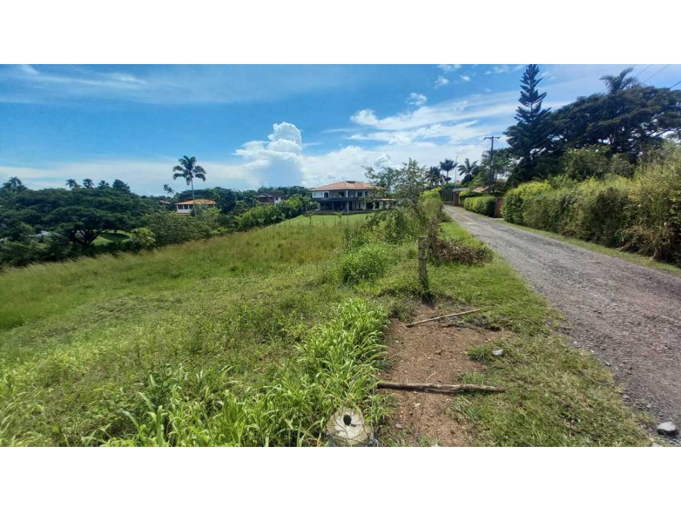 Venta Lote Campestre Cerritos Pereira — foto 3