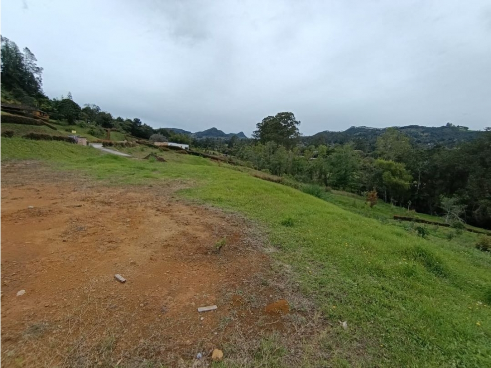 Venta lote campestre en Llanogrande -Unidad cerrada sector Barahonda — foto 2