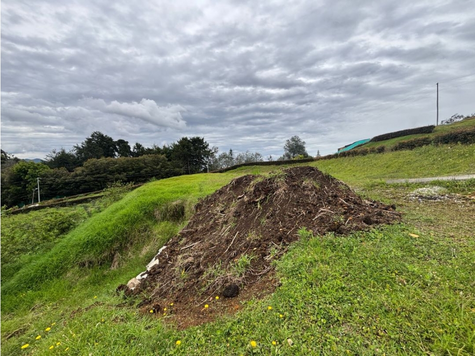 Venta lote campestre en Llanogrande -Unidad cerrada sector Barahonda — foto 5