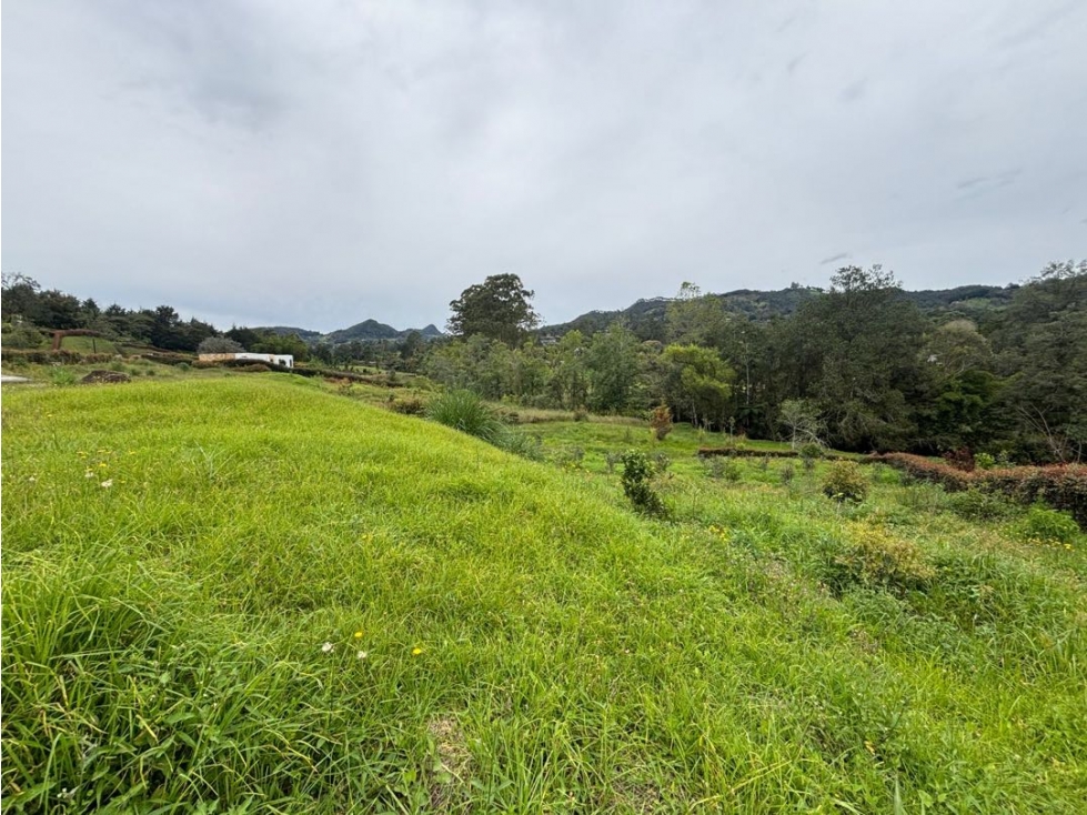 Venta lote campestre en Llanogrande -Unidad cerrada sector Barahonda — foto 6