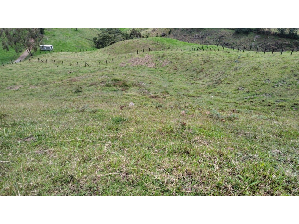 Venta Lote Casa Zona Alta Valorización Buen Area y Vistas Capiro — foto 3