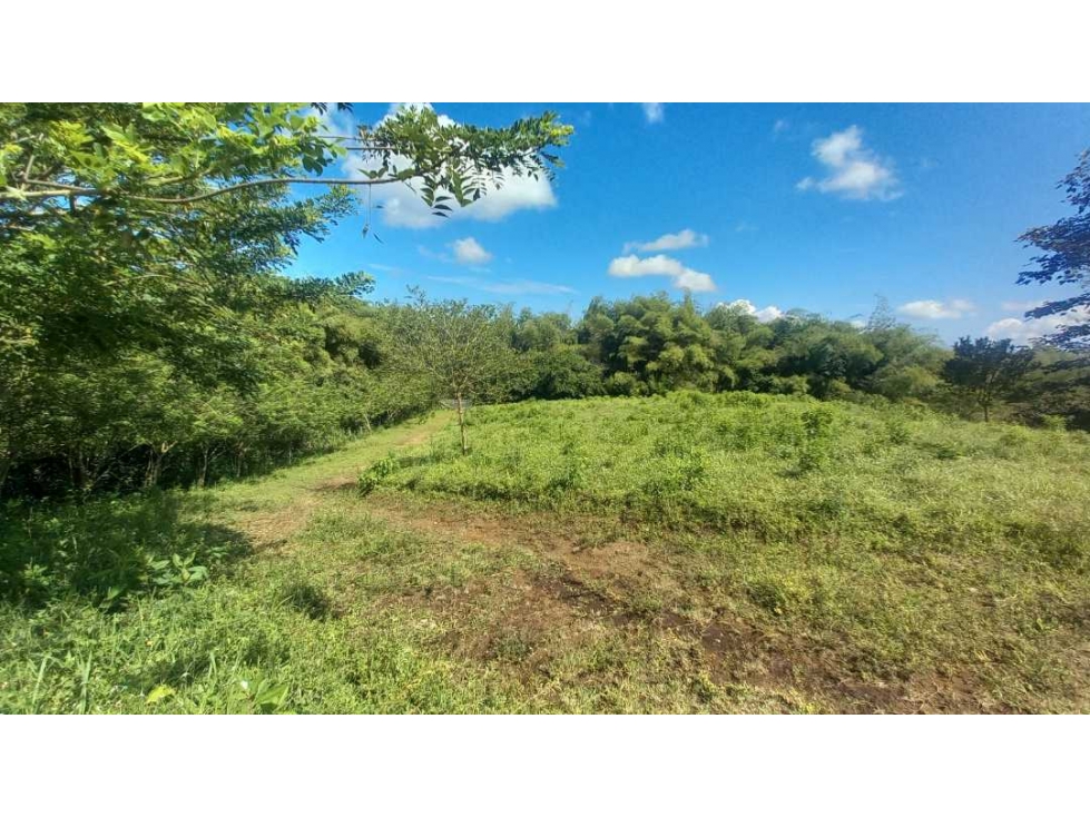Venta Lote Cerritos Pereira