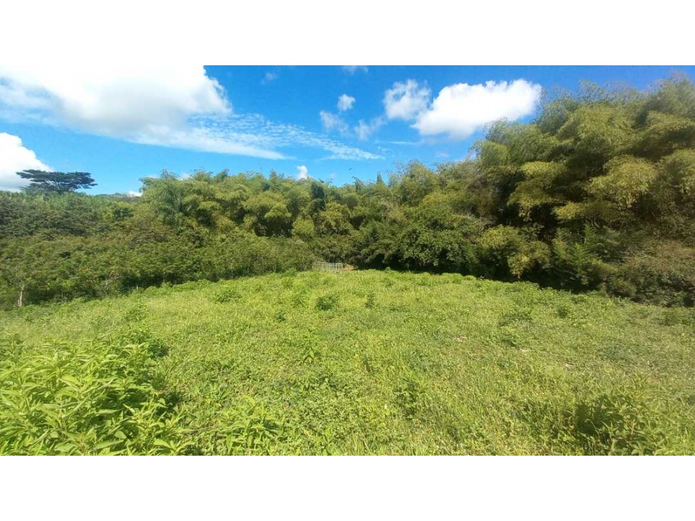 Venta Lote Cerritos Pereira — foto 2
