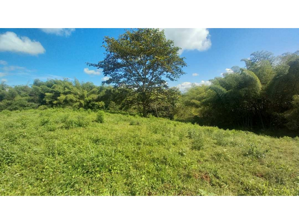 Venta Lote Cerritos Pereira — foto 3