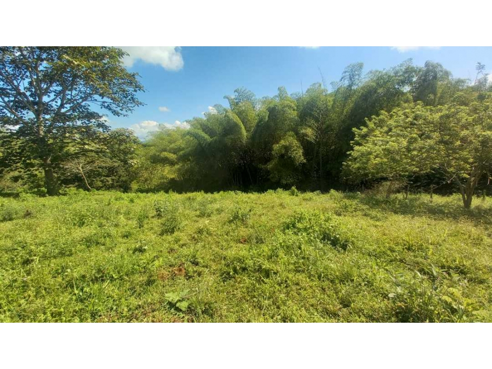 Venta Lote Cerritos Pereira — foto 4