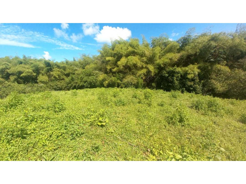 Venta Lote Cerritos Pereira — foto 5