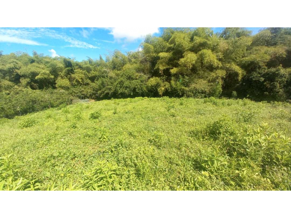 Venta Lote Cerritos Pereira — foto 6