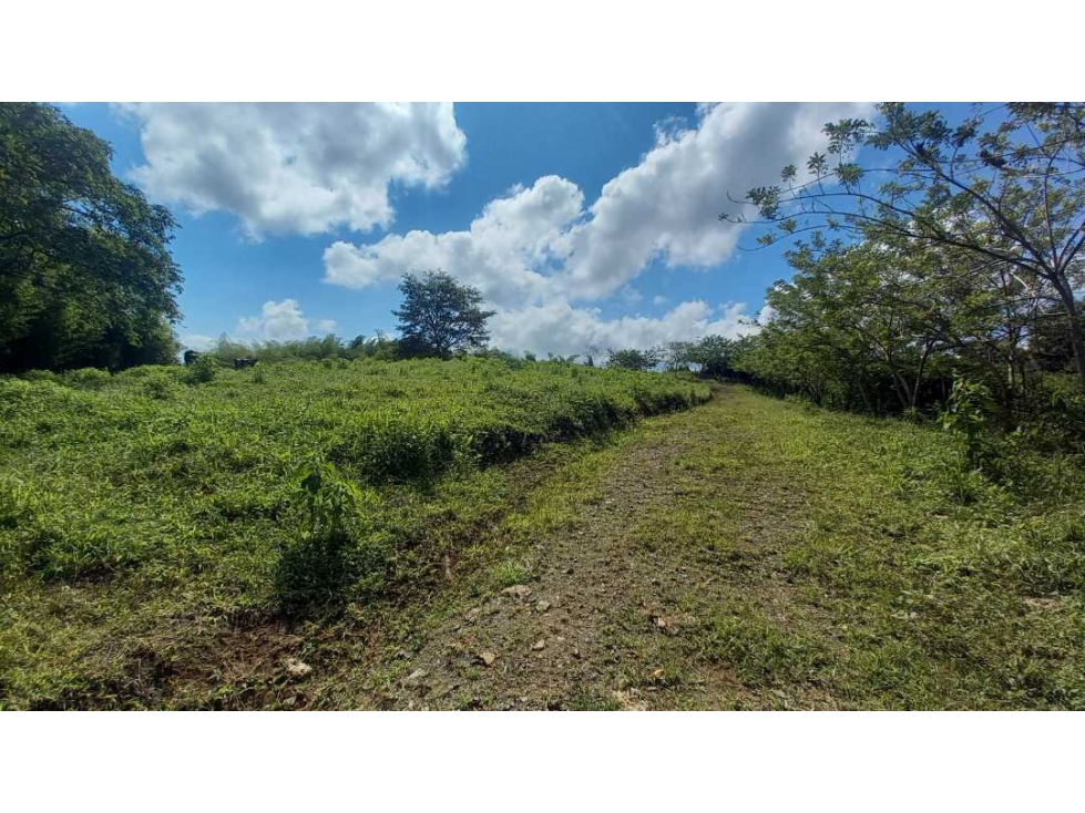 Venta Lote Cerritos Pereira