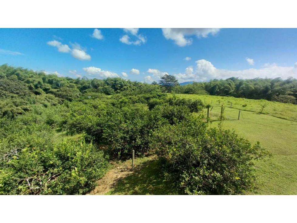 Venta Lote Cerritos Pereira — foto 2