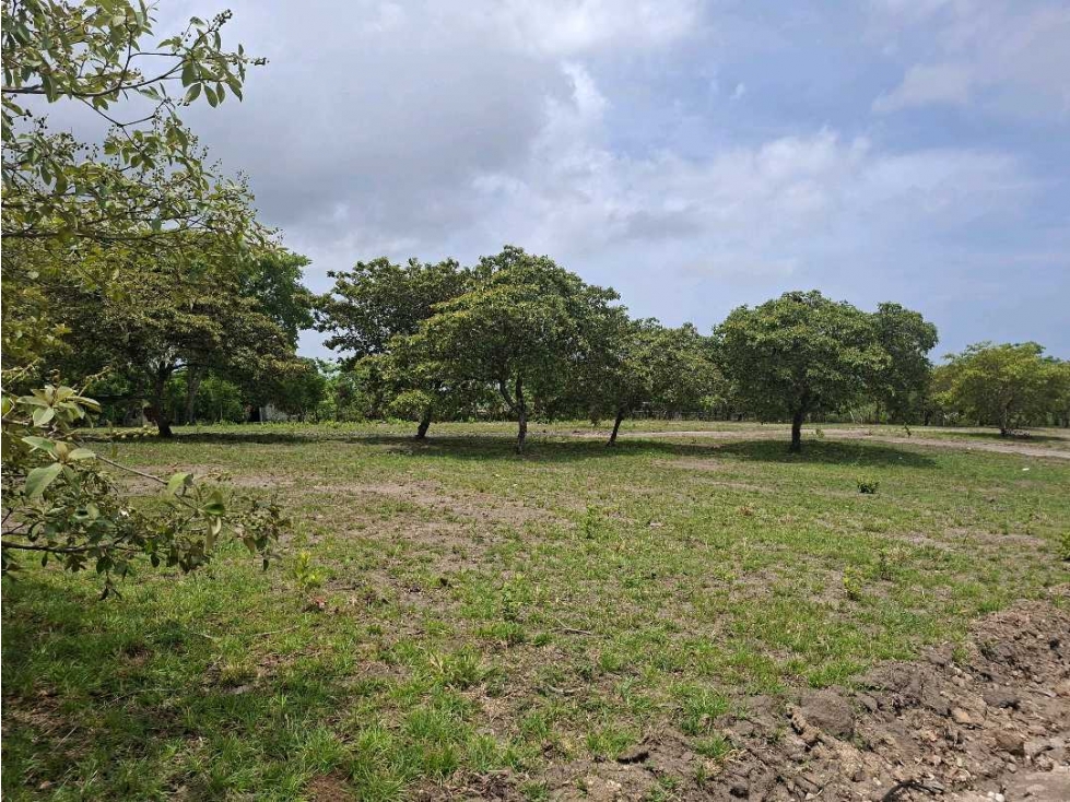 VENTA LOTE CHAME 1000M2 COMPLETAMENTE PLANOS