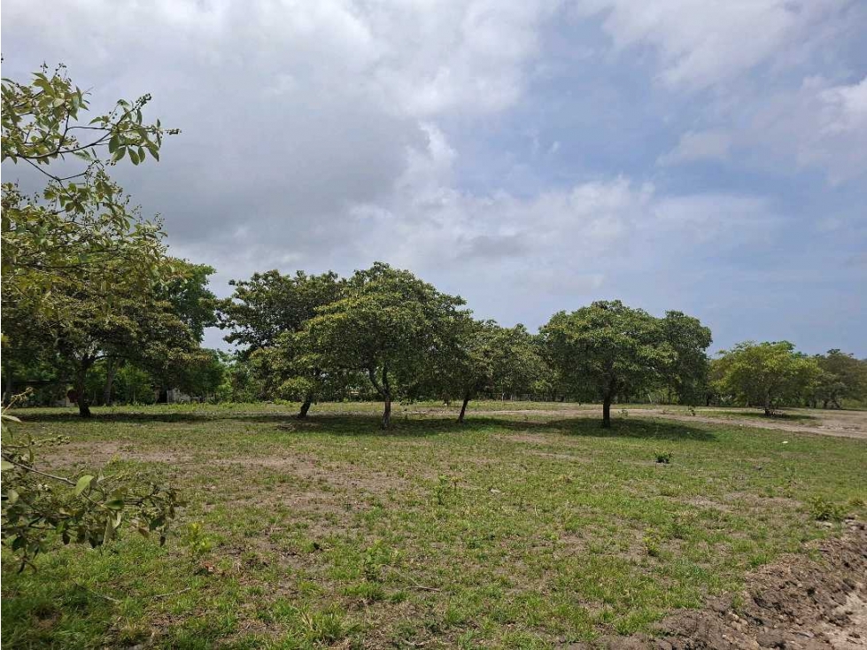 VENTA LOTE CHAME 1000M2 COMPLETAMENTE PLANOS — foto 2