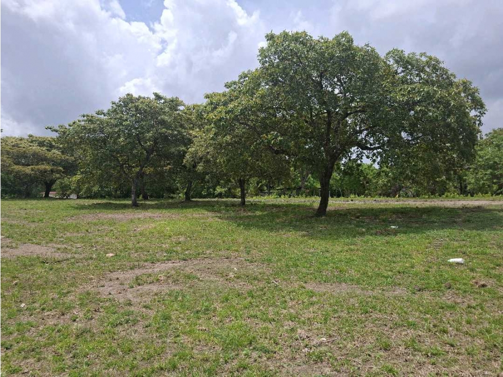 VENTA LOTE CHAME 1000M2 COMPLETAMENTE PLANOS — foto 3