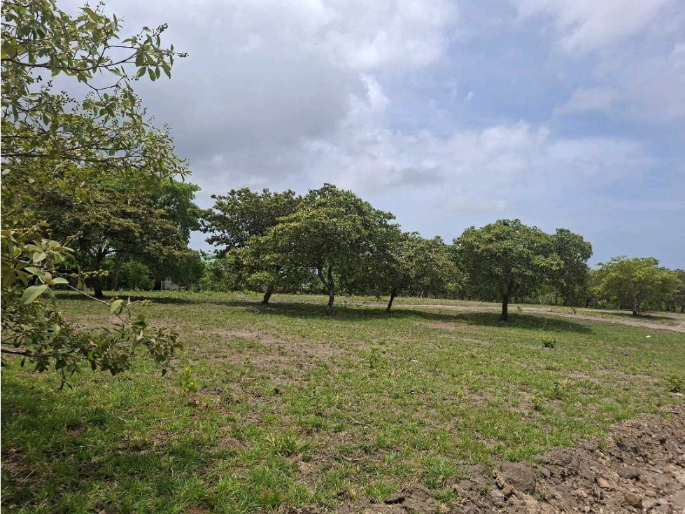 VENTA LOTE CHAME 1000M2 COMPLETAMENTE PLANOS — foto 4