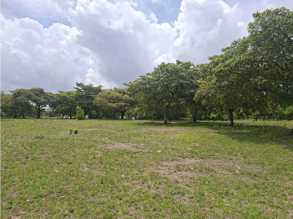 VENTA LOTE CHAME 1000M2 COMPLETAMENTE PLANOS — foto 5