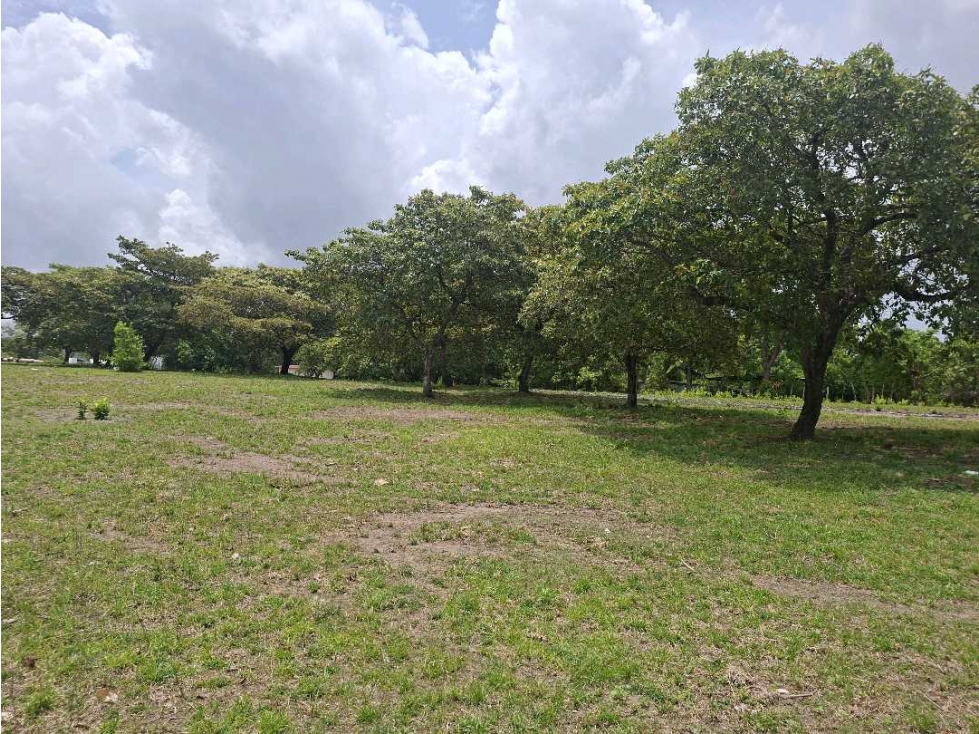 VENTA LOTE CHAME 1000M2 COMPLETAMENTE PLANOS — foto 6