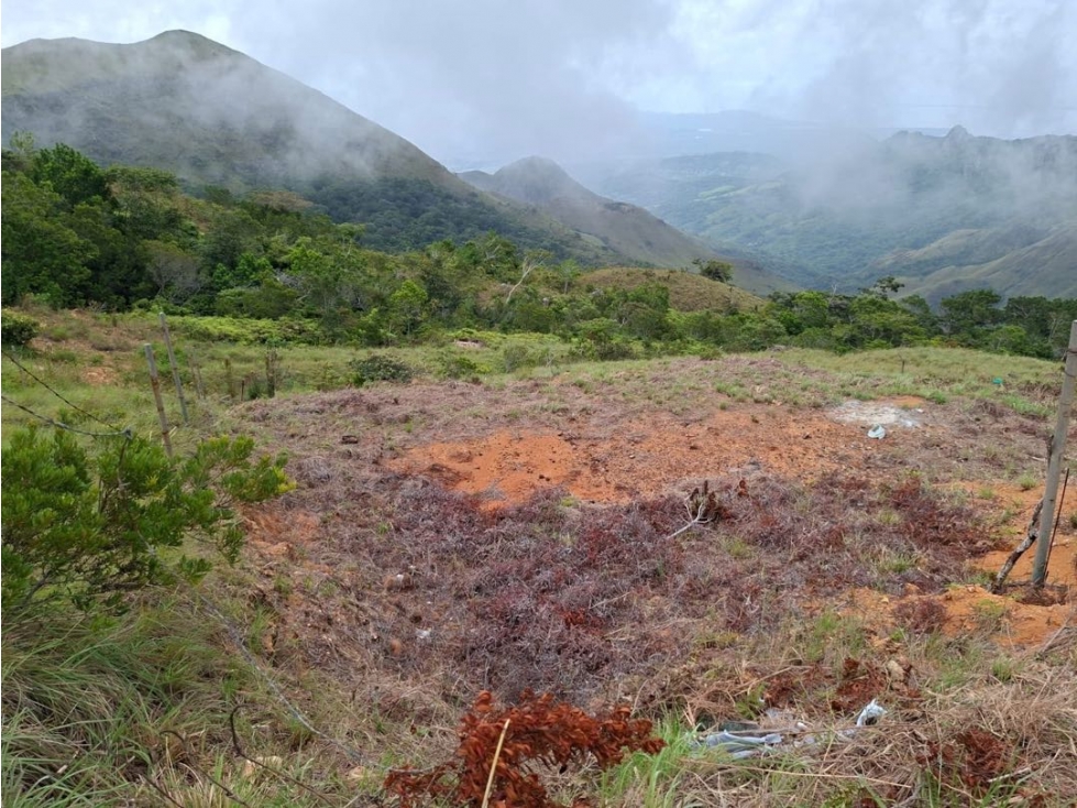 VENTA LOTE CHICA OPORTUNIDAD ÚNICA 500M2 ALADO DEL CASTILLO DE KEVIN - 3