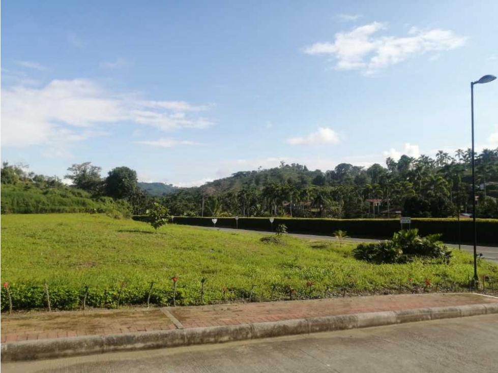Venta Lote San Bernardo del viento, Manizales Cod. 7004286 — foto 2