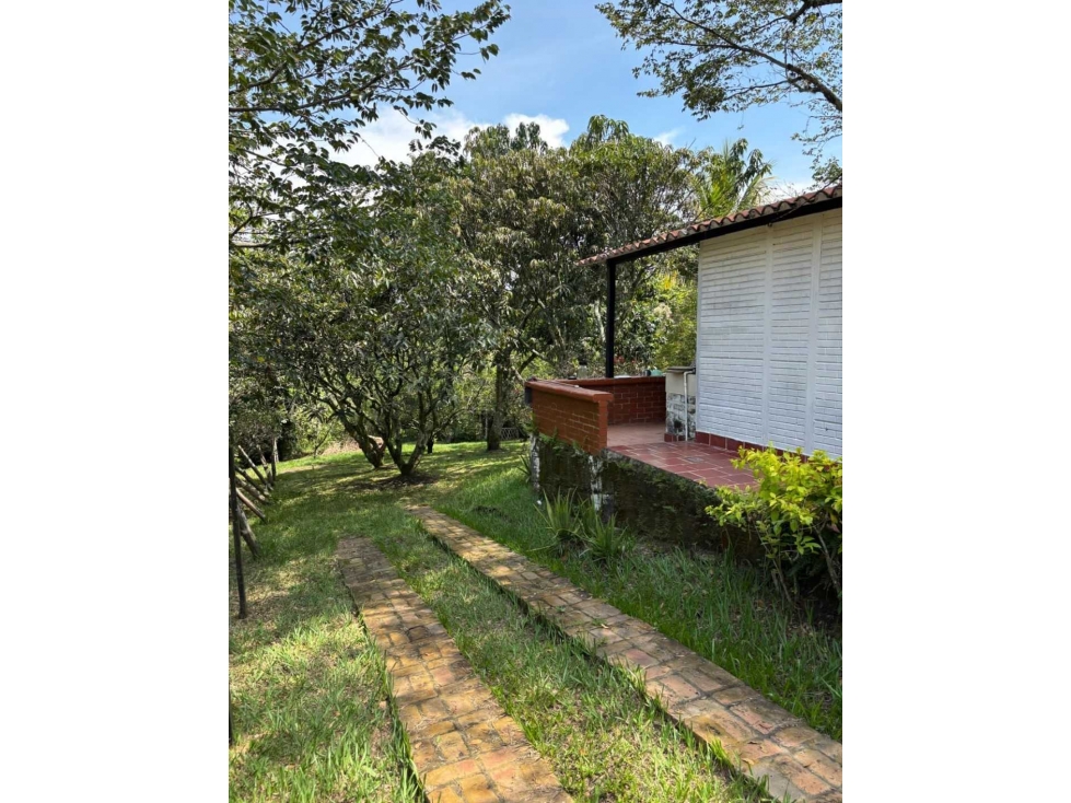 VENTA LOTE CON MEJORA STDER. DE QUILICHAO VEREDA TAMINANGO LL10338290 - 3