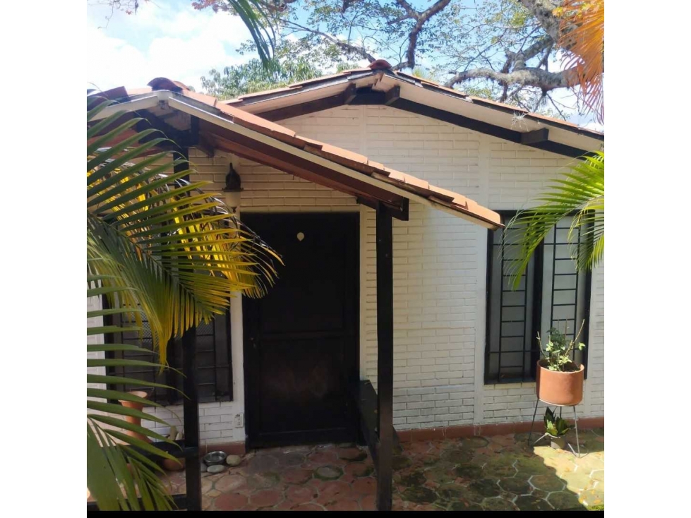 VENTA LOTE CON MEJORA STDER. DE QUILICHAO VEREDA TAMINANGO LL10338290 - 4