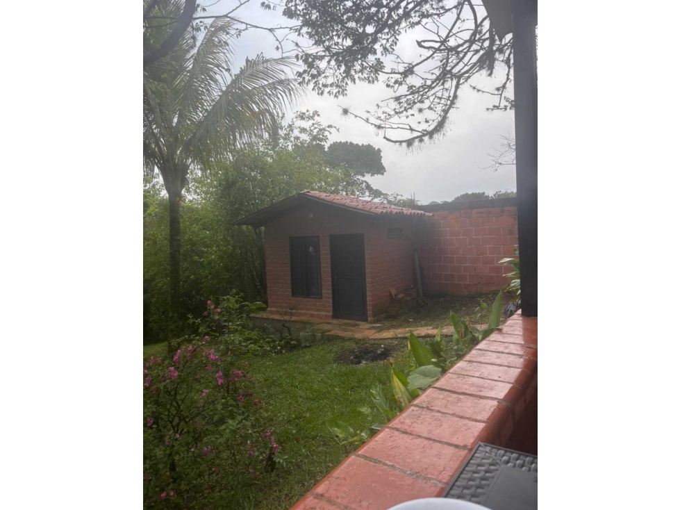 VENTA LOTE CON MEJORA STDER. DE QUILICHAO VEREDA TAMINANGO LL10338290 - 5