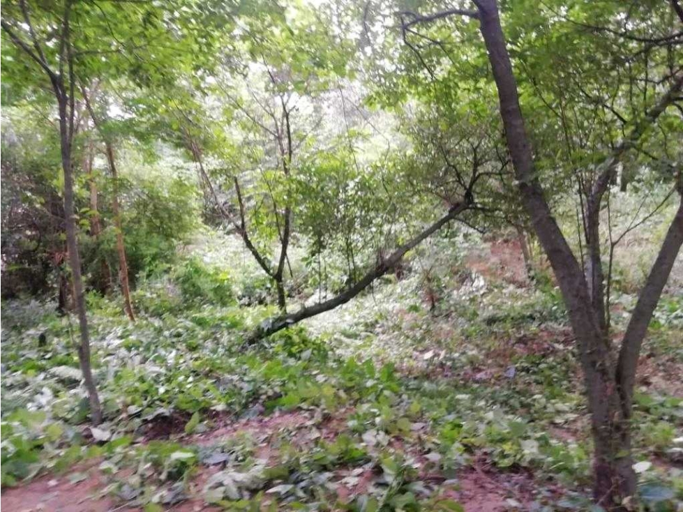SE VENDE LOTE CON RÍO BONDA SANTA MARTA - J.V — foto 2