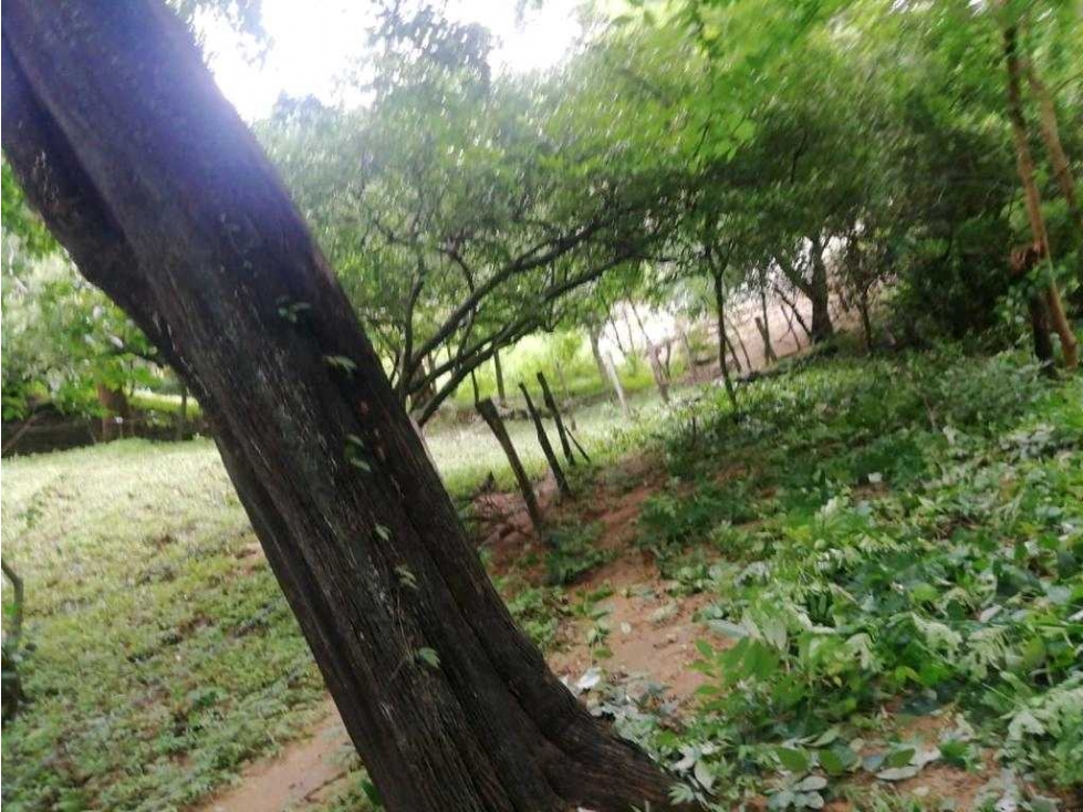 SE VENDE LOTE CON RÍO BONDA SANTA MARTA - J.V — foto 3