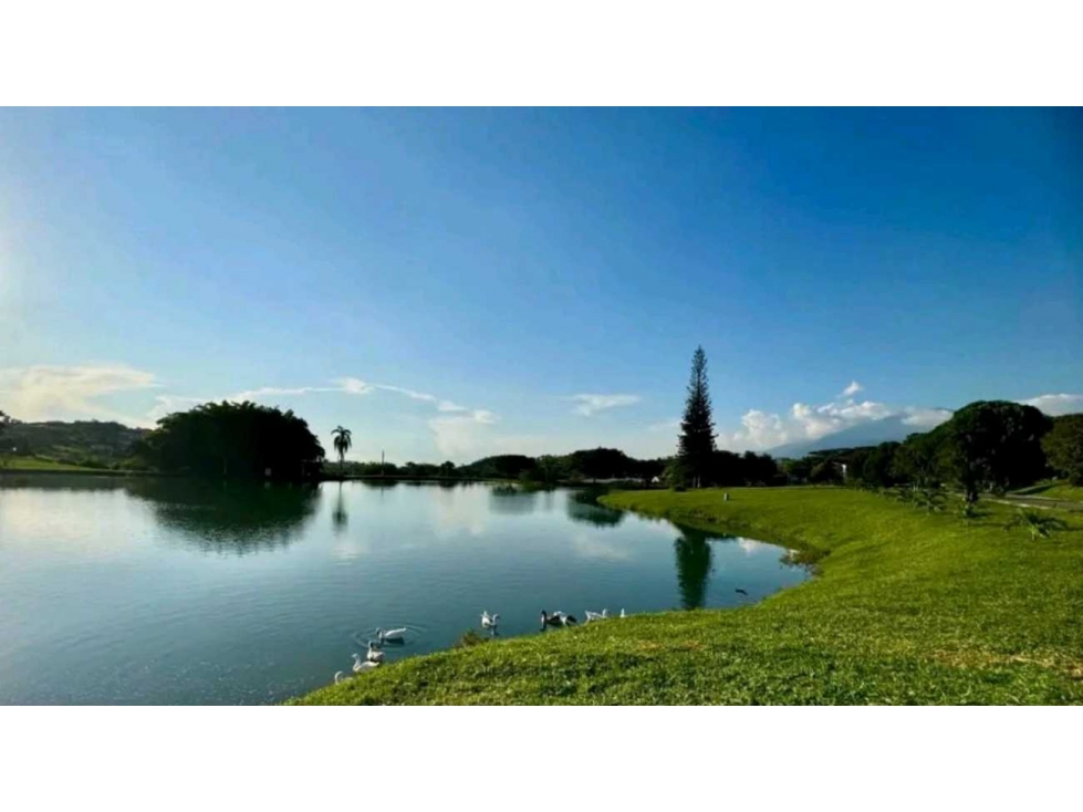VENTA LOTE CON VISTA A LAS MONTAÑAS-CONDOMINIO-LA BUITRERA (PALMIRA) — foto 3