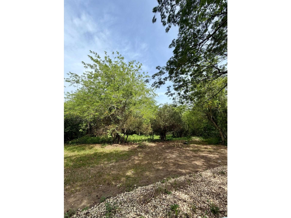 VENTA LOTE CONDOMINIO ALEROS DEL COUNTRY ZONA NORTE CARTAGENA