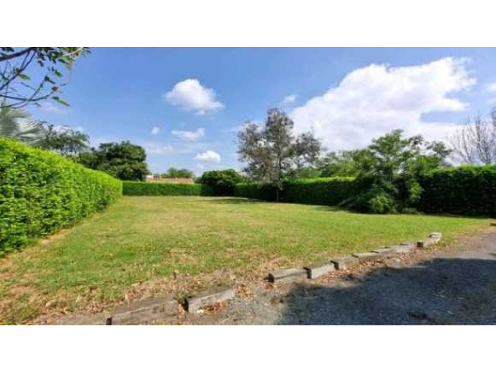 SE VENDE LOTE CONDOMINIO CAMPESTRE GUACARI WIC9748723 - 2