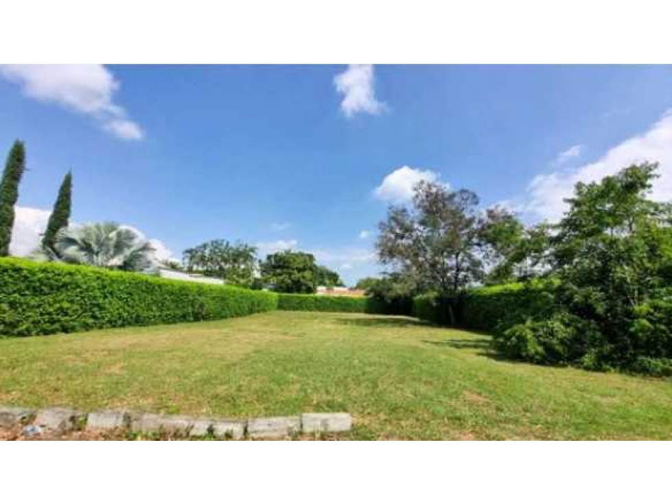 SE VENDE LOTE CONDOMINIO CAMPESTRE GUACARI WIC9748723 - 3