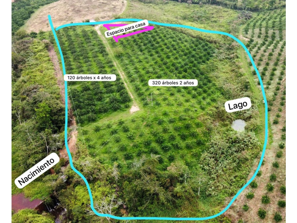 Venta lote de para cultivos Vereda Santo Domingo Lebrija Santander - 5