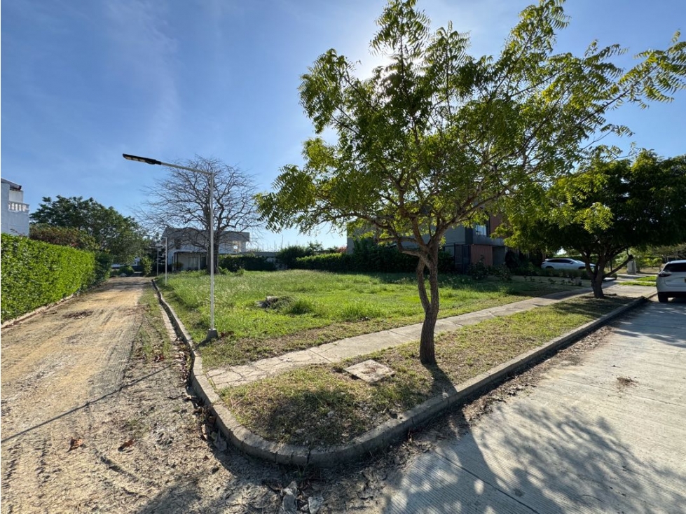 Venta lote de 782 mts2 en Palma Real Cartagena | Manzanillo del mar — foto 3