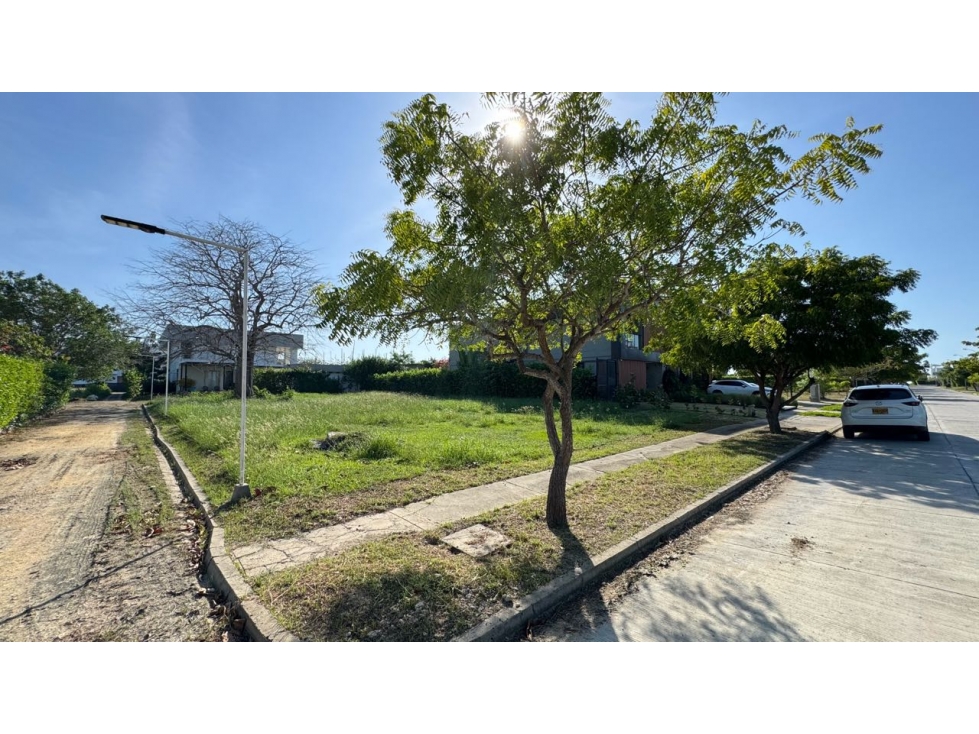 Venta lote de 782 mts2 en Palma Real Cartagena | Manzanillo del mar — foto 4