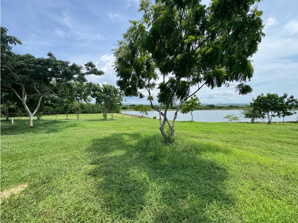 Venta lote de 928 mts2 en Altos de Guayacanes Cartagena | Punta Canoa — foto 3