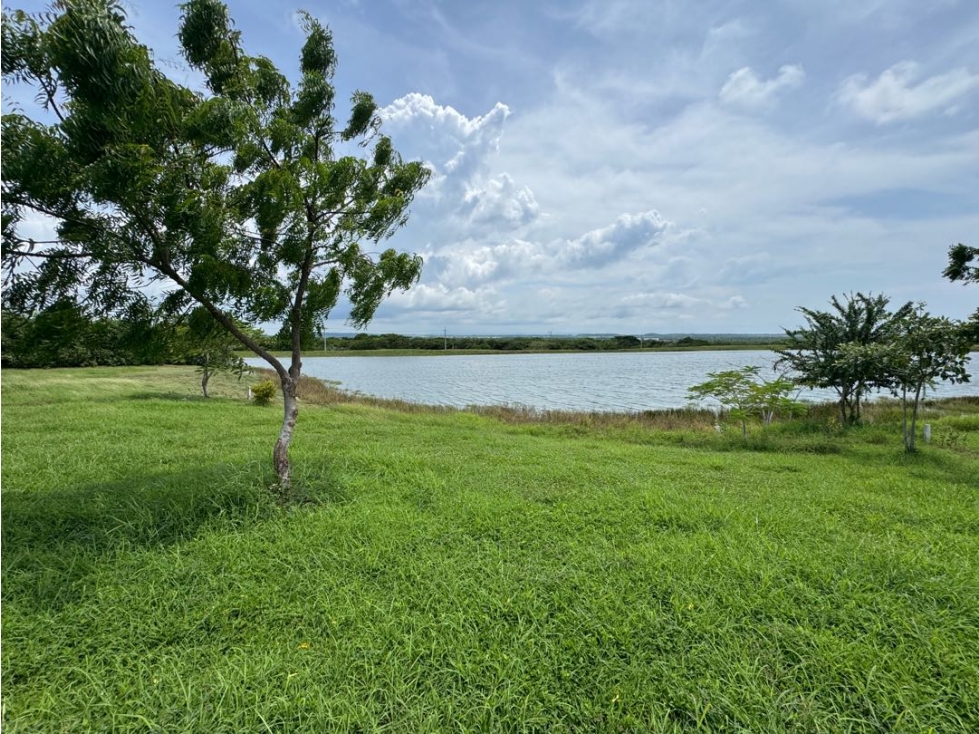 Venta lote de 928 mts2 en Altos de Guayacanes Cartagena | Punta Canoa — foto 5