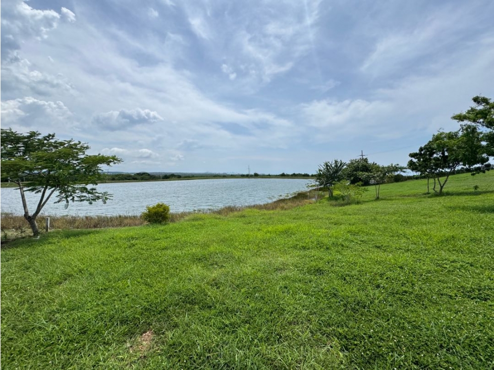 Venta lote de 928 mts2 en Altos de Guayacanes Cartagena | Punta Canoa — foto 6