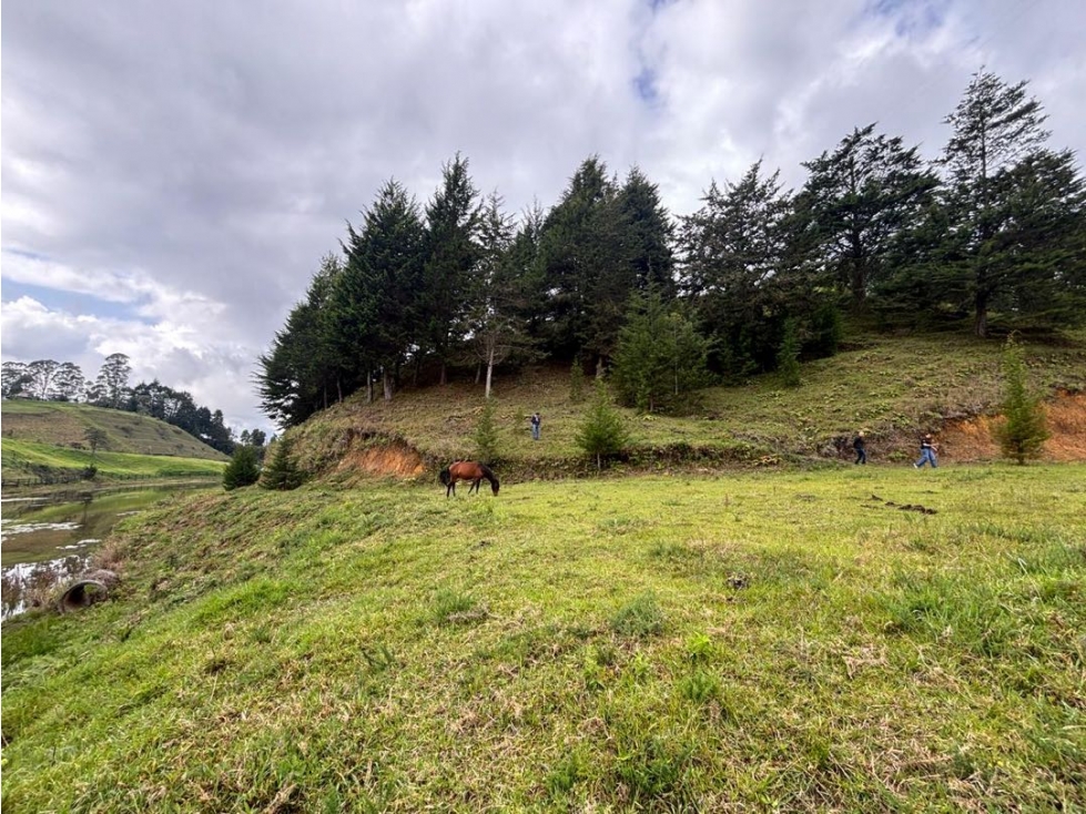 Venta lote de gran formato cerca al aeropuerto de Rionegro — foto 2