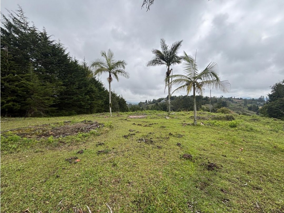 Venta lote de gran formato cerca al aeropuerto de Rionegro — foto 3