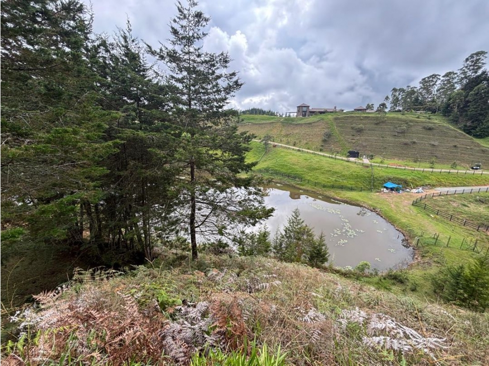 Venta lote de gran formato cerca al aeropuerto de Rionegro — foto 6