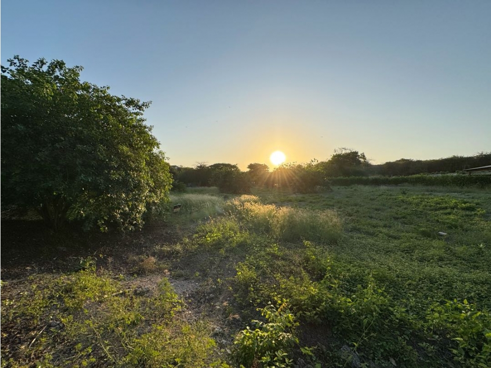 Venta LOTE de Terreno en BARÚGRANDE en la Isla de Baru en Cartagena — foto 6