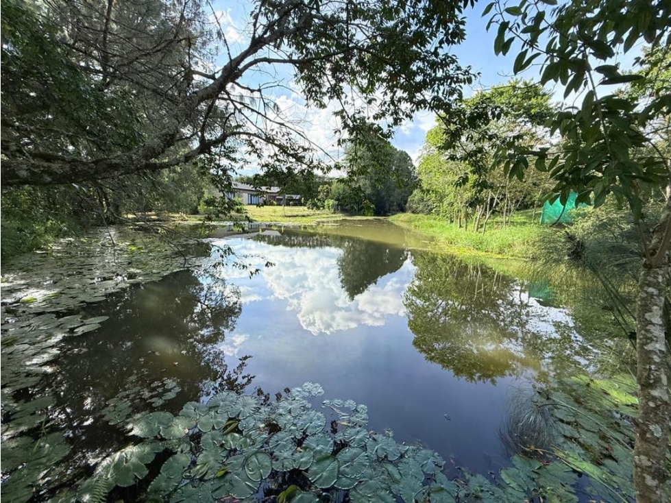Venta Lote El Capiro (Guamito) La Ceja 2500 Mts2