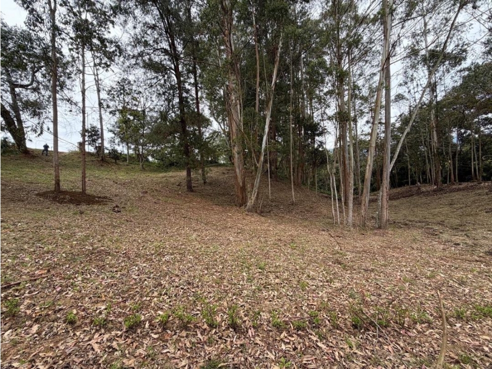VENTA LOTE EL CORTIJO LIVING CLUB La Ceja, Ant. — foto 2