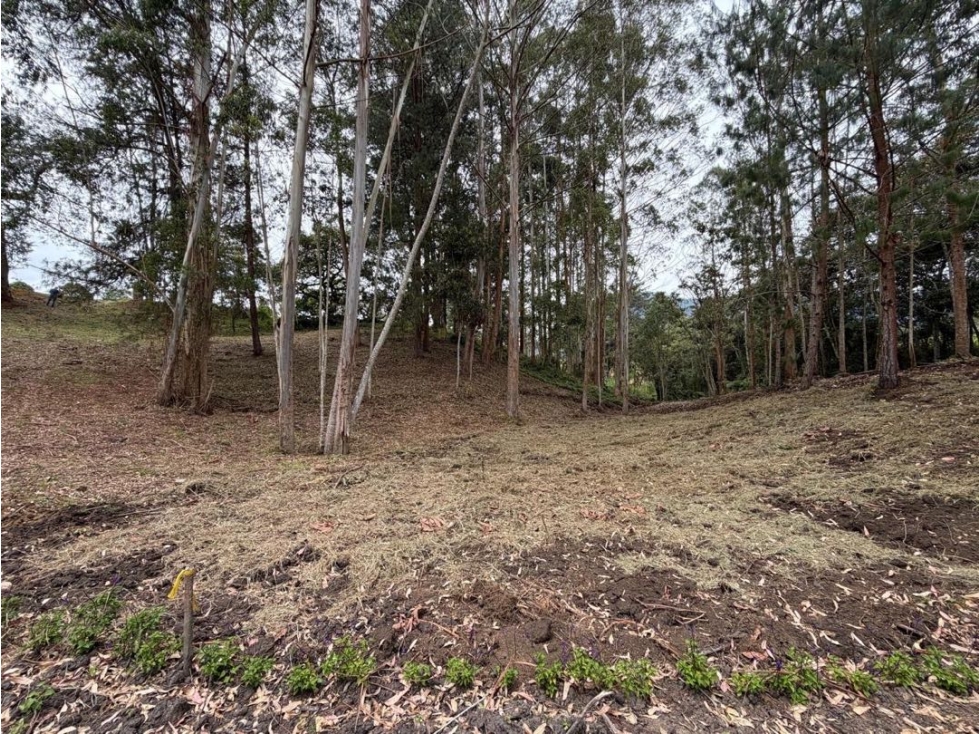 VENTA LOTE EL CORTIJO LIVING CLUB La Ceja, Ant. — foto 5