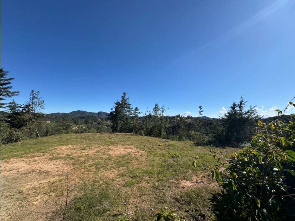 VENTA LOTE EL RETIRO PANTANILLO