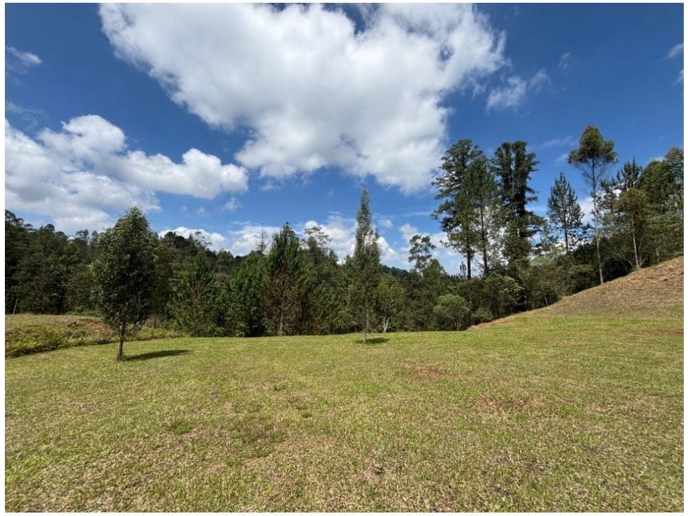 venta Lote El Retiro Sector Vía Don Diego La Ceja Antioquia — foto 2