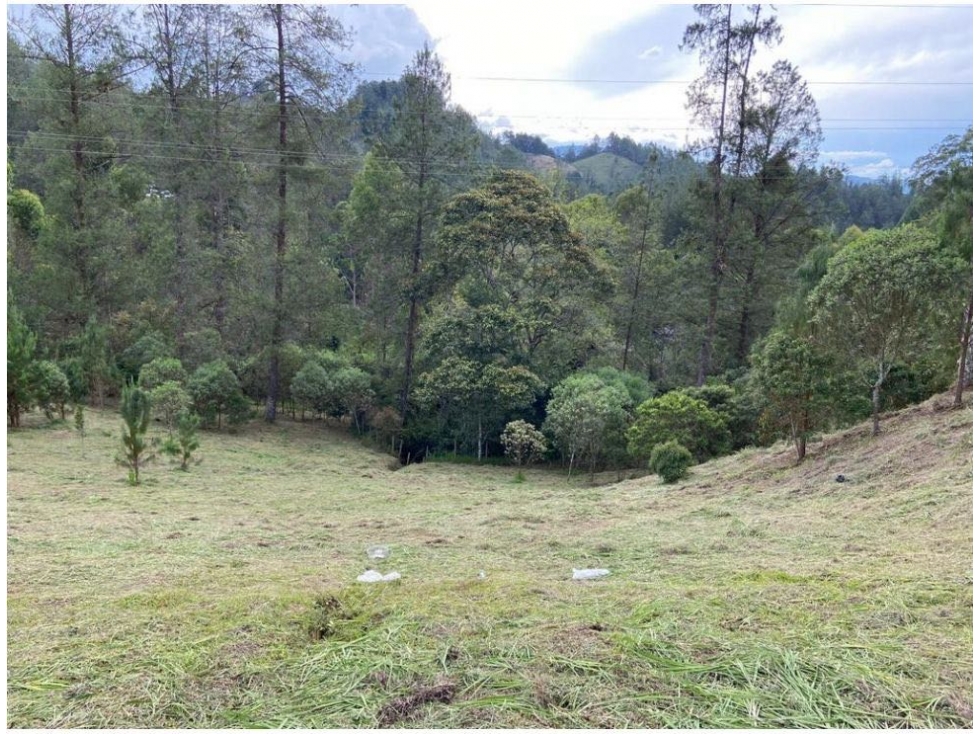 venta Lote El Retiro Sector Vía Don Diego La Ceja Antioquia — foto 3