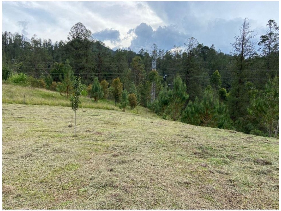 venta Lote El Retiro Sector Vía Don Diego La Ceja Antioquia — foto 5