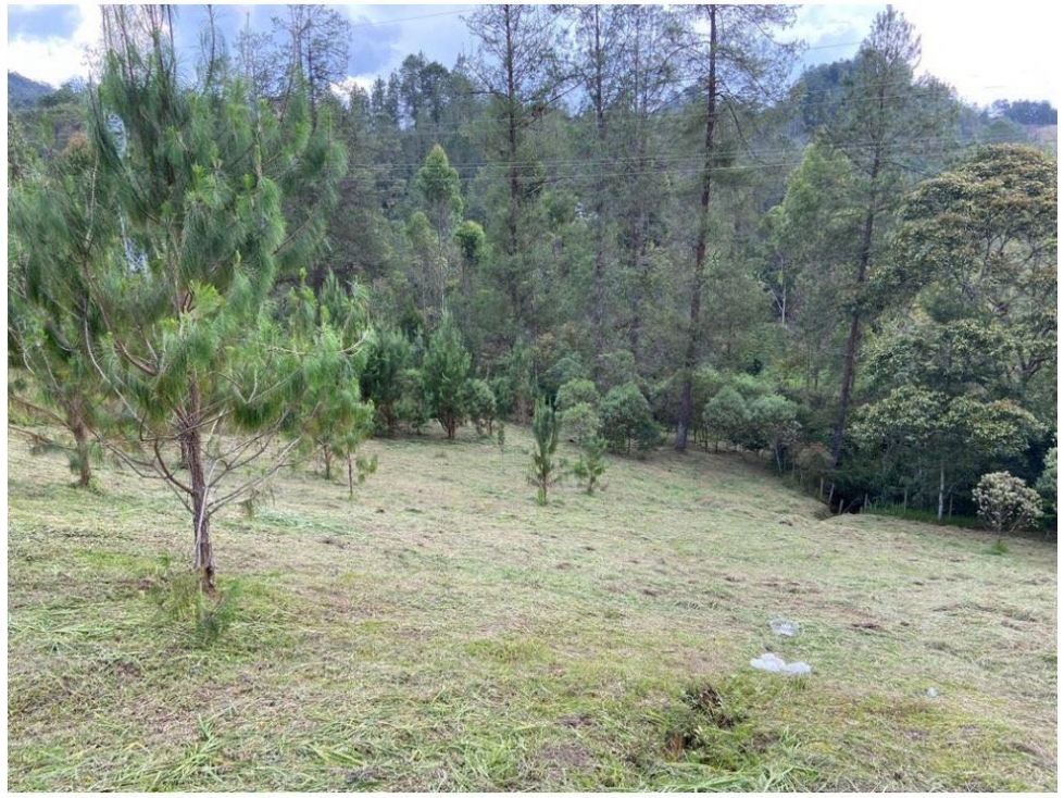 venta Lote El Retiro Sector Vía Don Diego La Ceja Antioquia — foto 6