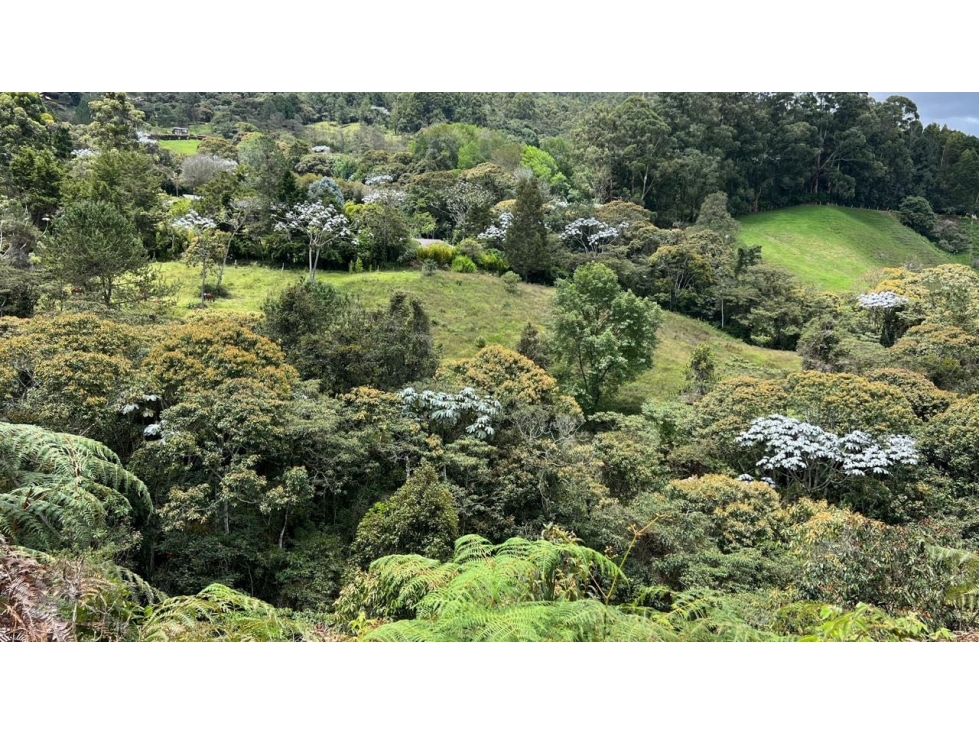 Venta lote El Tablazo 25.000 m² en parte alta con vista abierta — foto 2