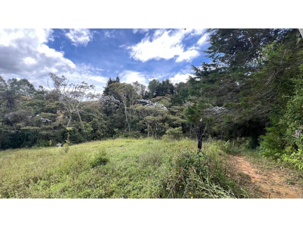 Venta lote El Tablazo 25.000 m² en parte alta con vista abierta — foto 3